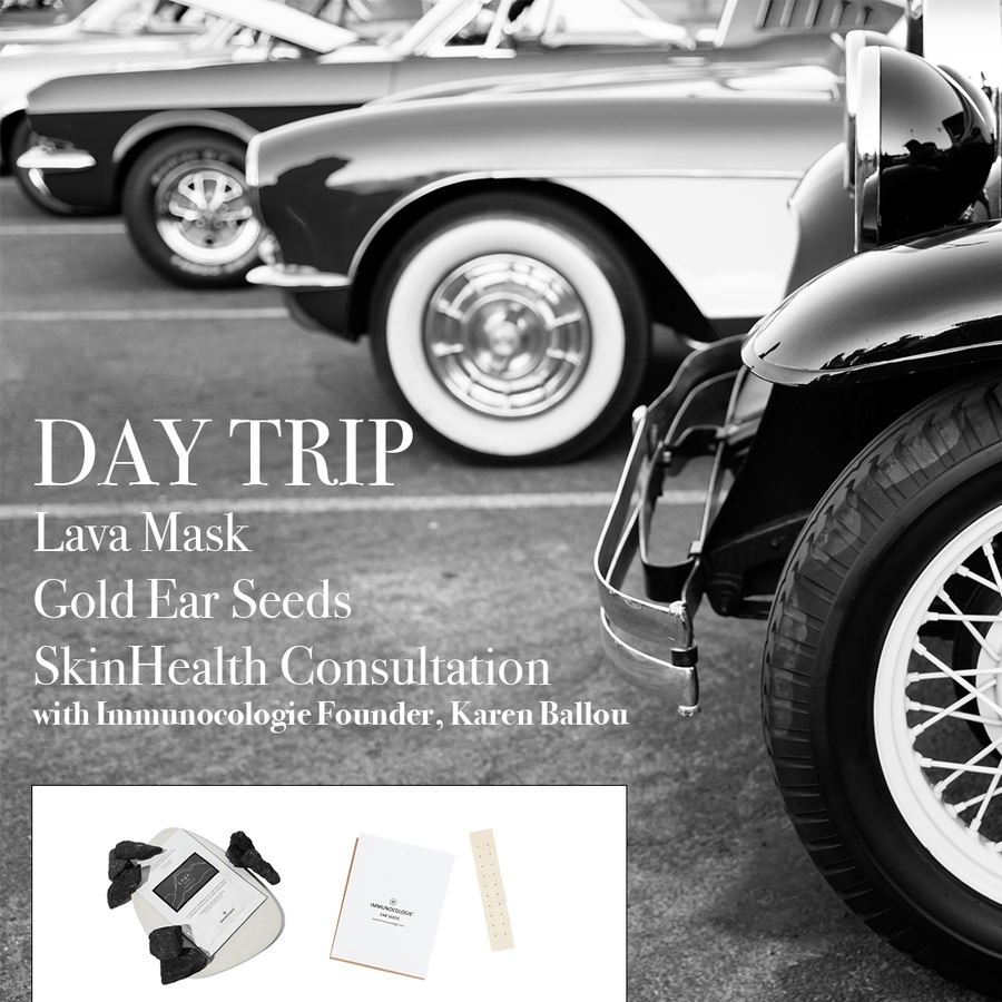 Day Trip