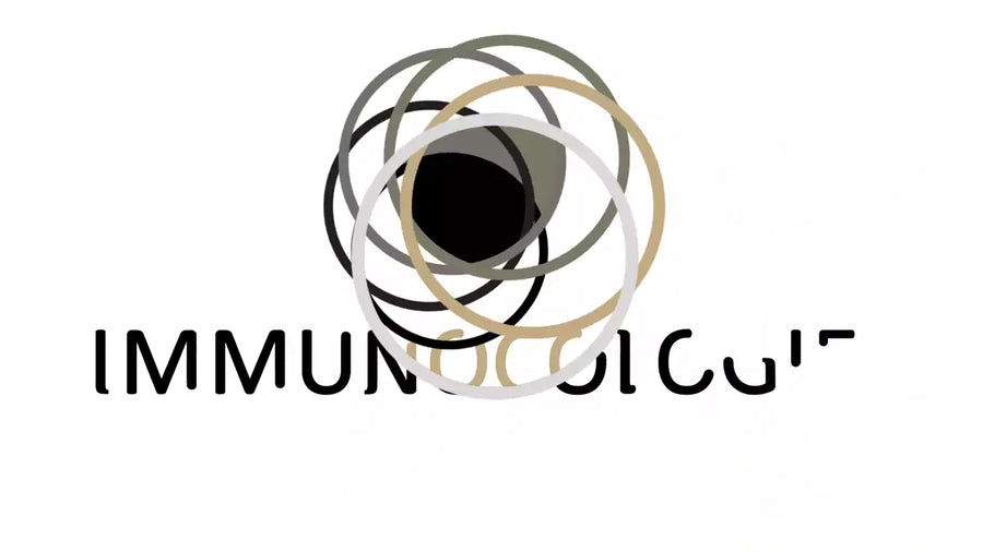 videowise-widget-64f209159fb1410c14016f3a-1730552201289