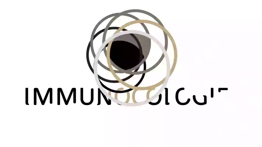 videowise-widget-64f209159fb1410c14016f3a-1730552528969