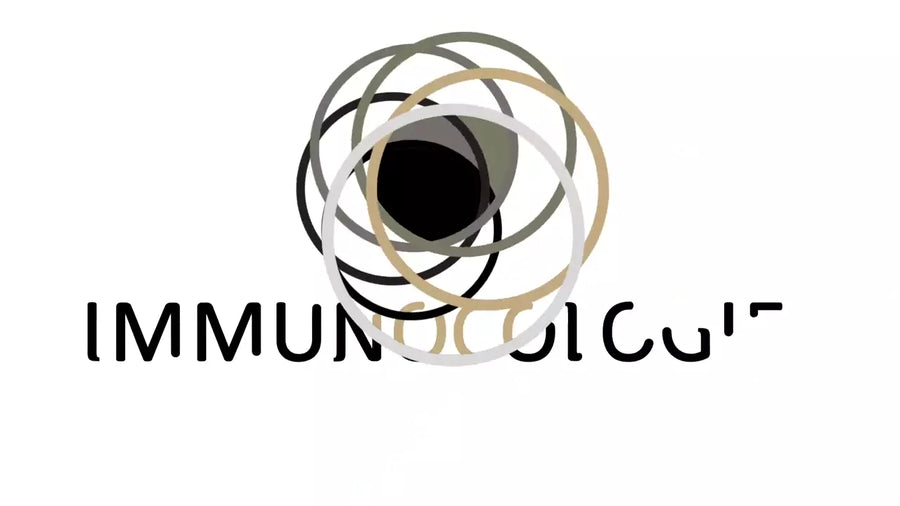 videowise-widget-64f209159fb1410c14016f3a-1730552660041