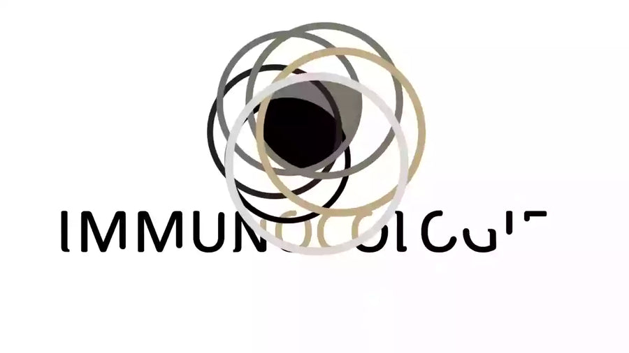 videowise-widget-64f209159fb1410c14016f3a-1730553249865