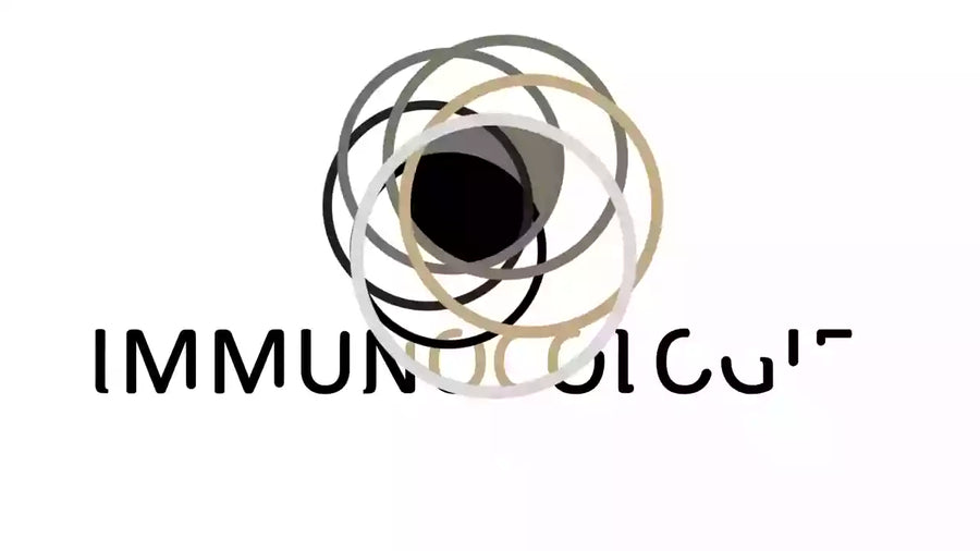 videowise-widget-64f209159fb1410c14016f3a-1730553806921